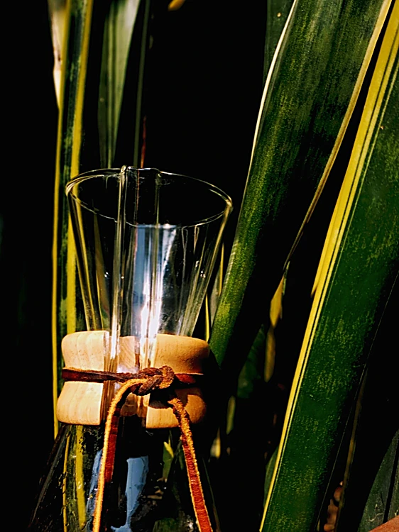 Cafetera Chemex con cordón de cuero entre hojas verdes